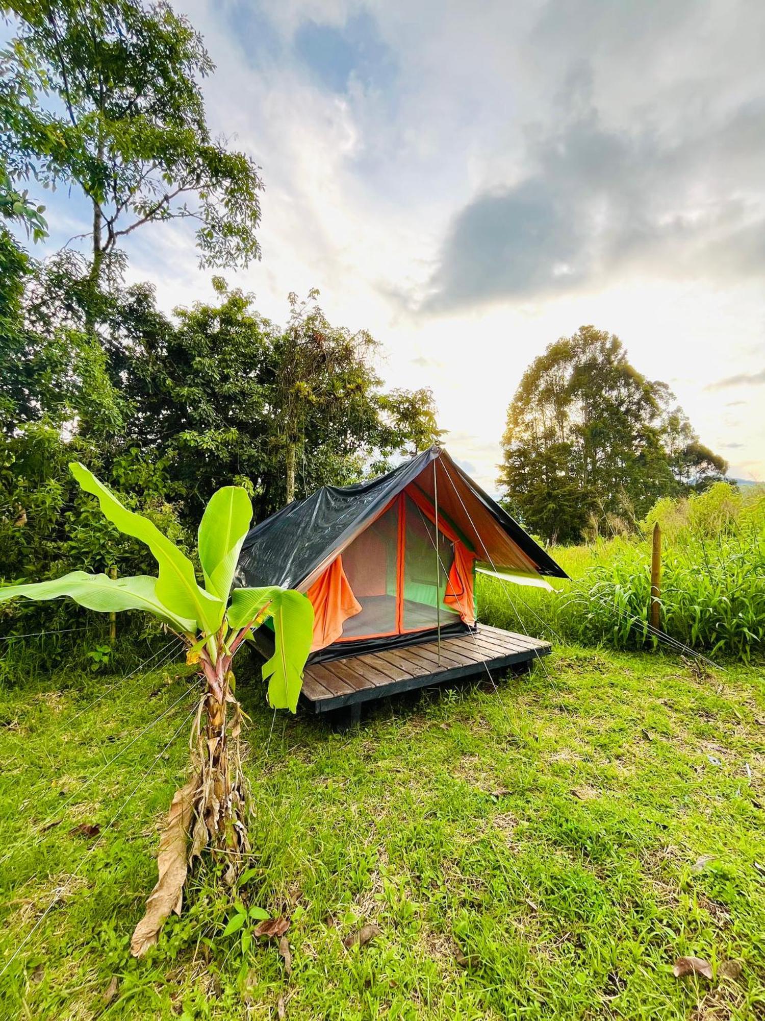 Ecoxplora-Zona De Camping Jardin Exterior photo